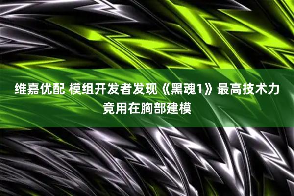 维嘉优配 模组开发者发现《黑魂1》最高技术力竟用在胸部建模