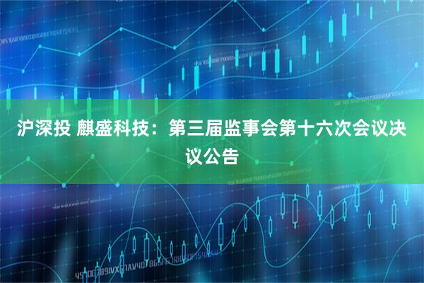 沪深投 麒盛科技：第三届监事会第十六次会议决议公告