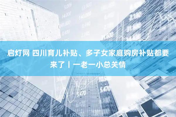 启灯网 四川育儿补贴、多子女家庭购房补贴都要来了丨一老一小总关情