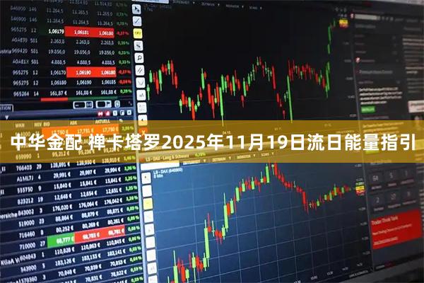 中华金配 禅卡塔罗2025年11月19日流日能量指引