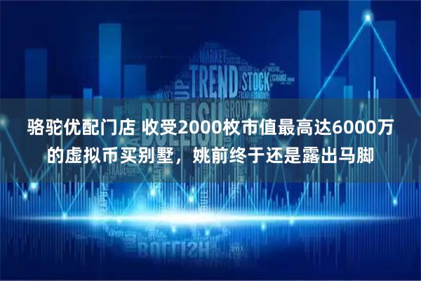 骆驼优配门店 收受2000枚市值最高达6000万的虚拟币买别墅，姚前终于还是露出马脚