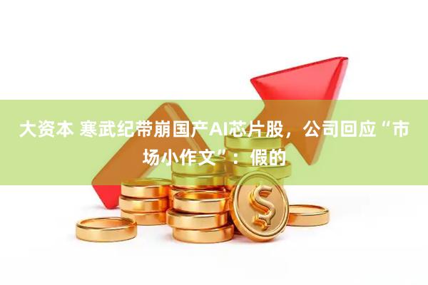 大资本 寒武纪带崩国产AI芯片股，公司回应“市场小作文”：假的